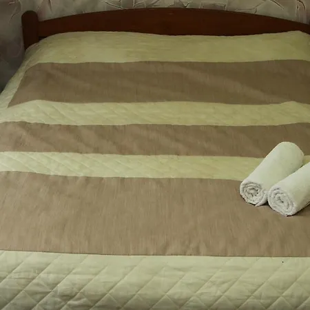 Larysa Centro منزل للإقامة