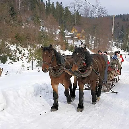 Larysa Centro Wisła