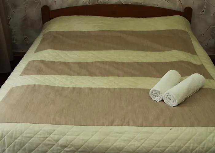 Larysa Centro בית אירוח